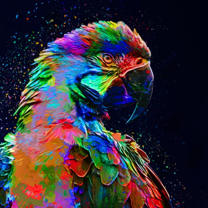 Colored Parrot