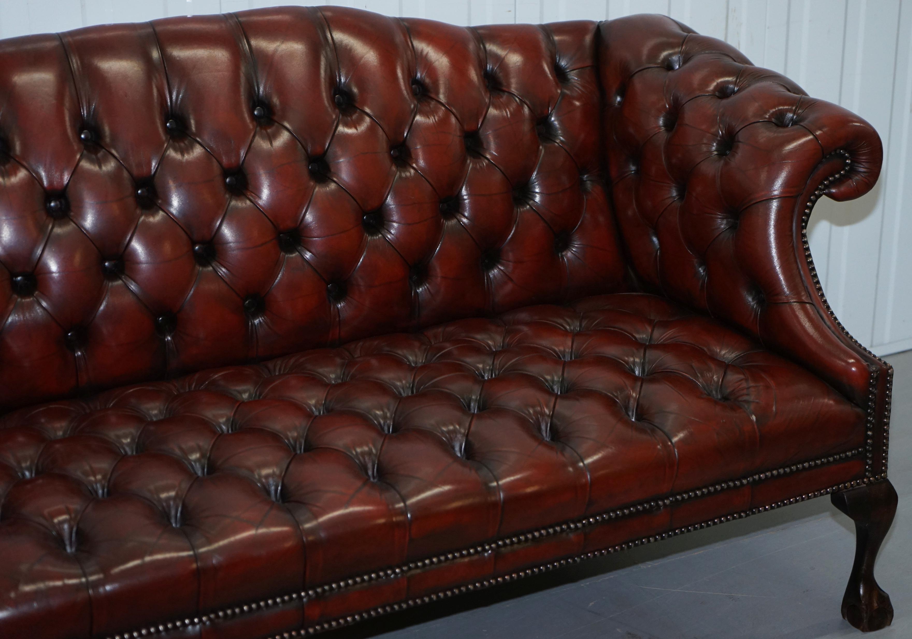 English 2 and 3 Seat Pair of Claw & Ball Feet Restored Brown Leather Chesterfield Sofas
