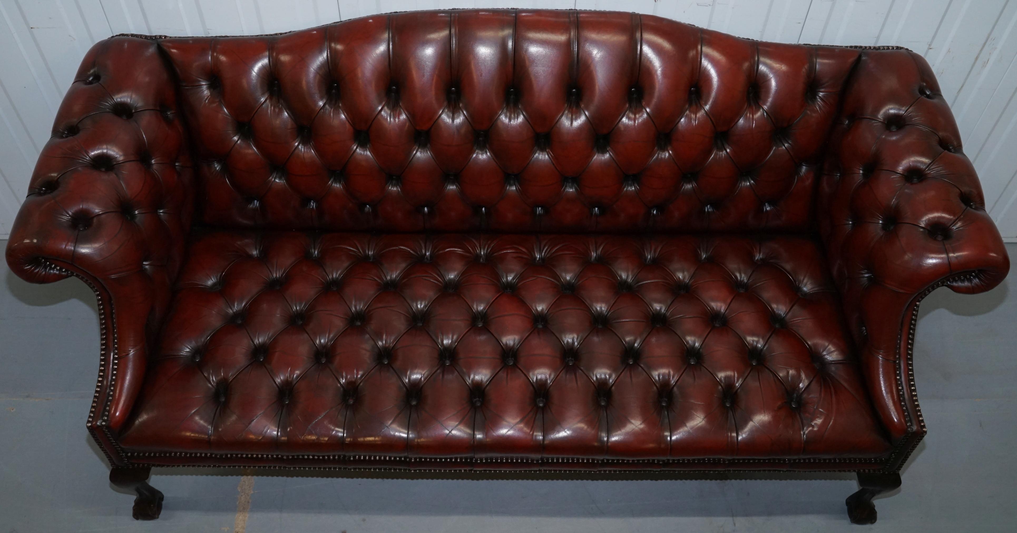 20th Century 2 and 3 Seat Pair of Claw & Ball Feet Restored Brown Leather Chesterfield Sofas