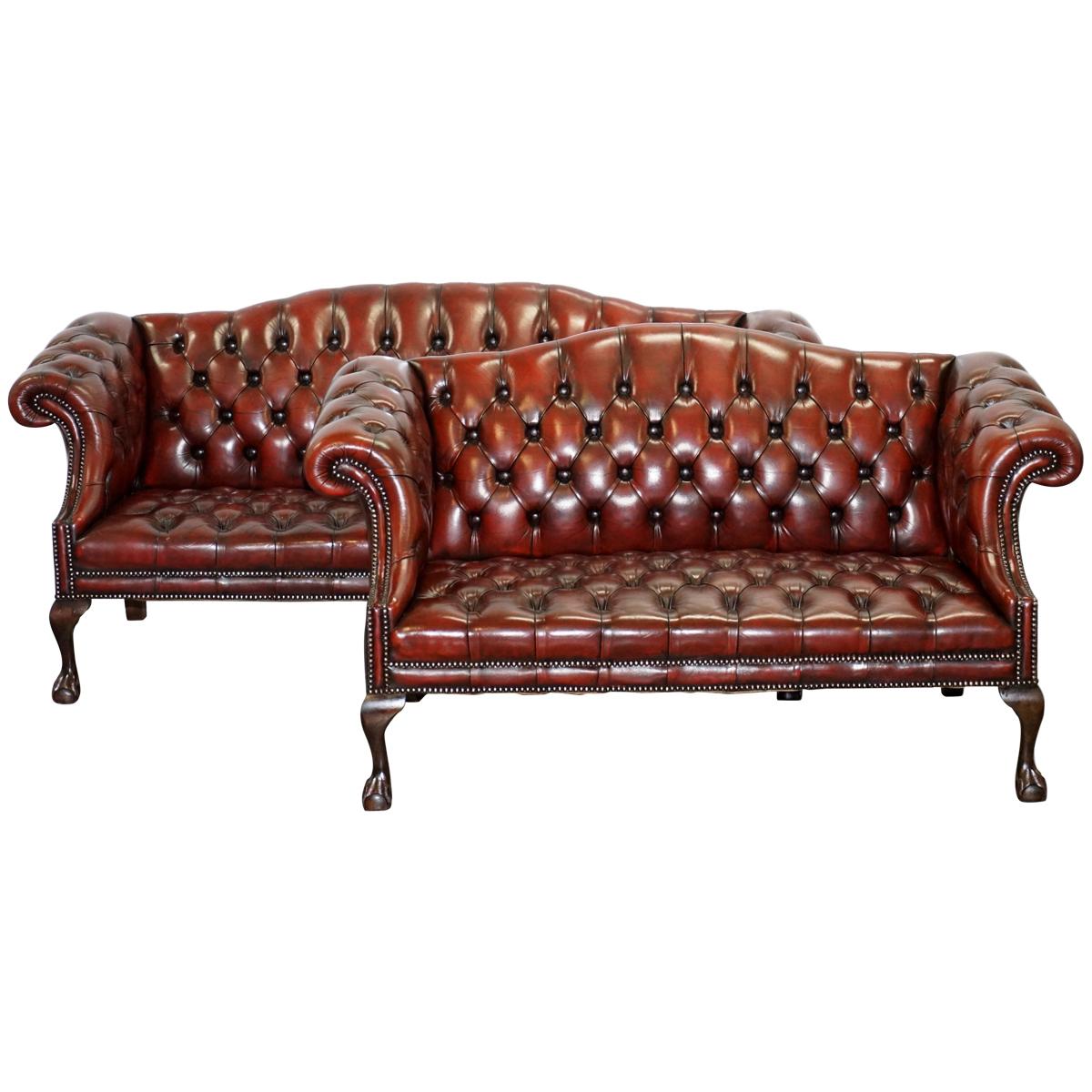 2 and 3 Seat Pair of Claw & Ball Feet Restored Brown Leather Chesterfield Sofas