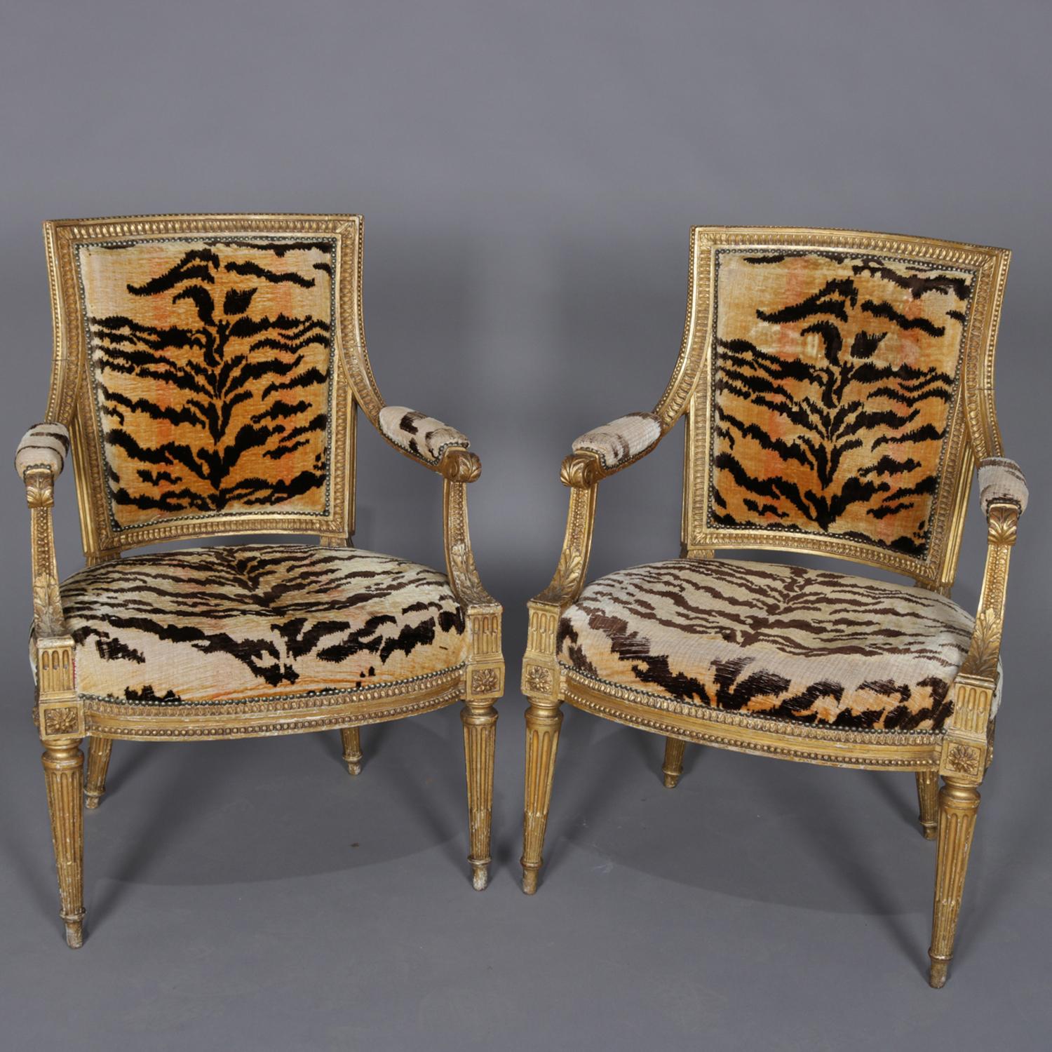 A pair of French Louis XVI armchairs feature carved giltwood frames with egg and dart, reeding and having carved rosettes at joints, raised on tapered and reeded legs, newer tiger print upholstery, frame photos include peg construction and worm