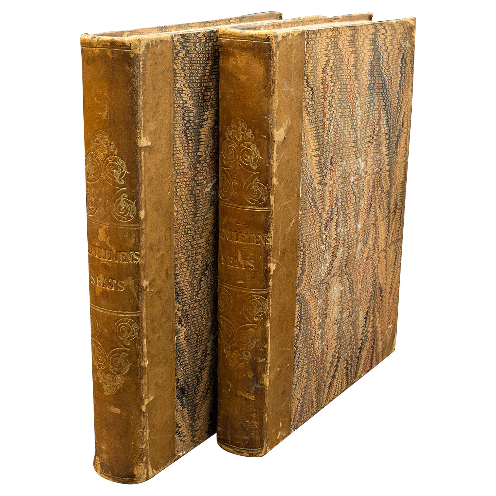 2 Libri antichi, Veduta di Jones di posti, palazzi e nobili, Inglese, Georgiano