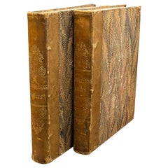 2 Libri antichi, Veduta di Jones di posti, palazzi e nobili, Inglese, Georgiano
