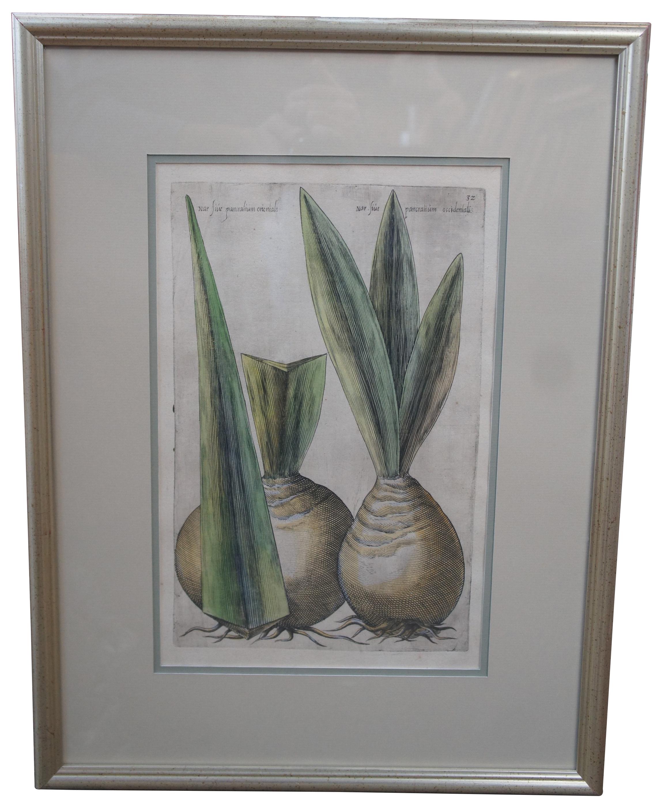 2 Antique Framed Emanuel Sweert Florigriums Botanical Latin Plant Engravings In Good Condition For Sale In Dayton, OH