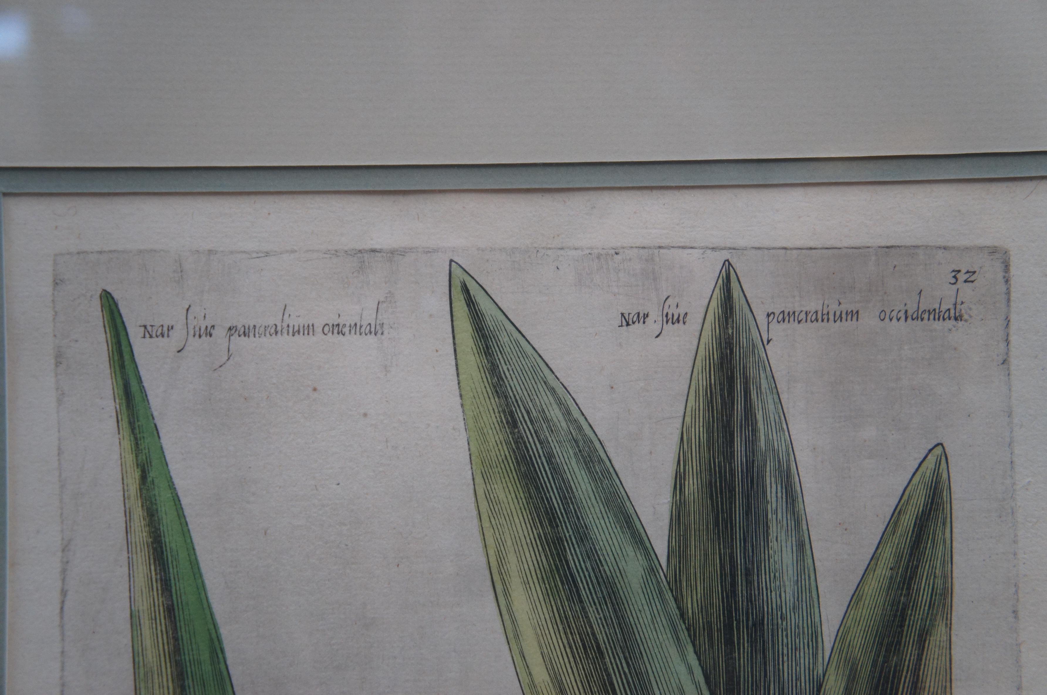 2 Gravures de plantes botaniques encadrées anciennes Emanuel Sweert Florigriums 22 po. en vente 2