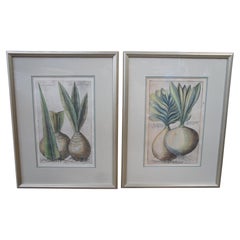 2 Antique Framed Emanuel Sweert Florigriums Botanical Latin Plant Engravings