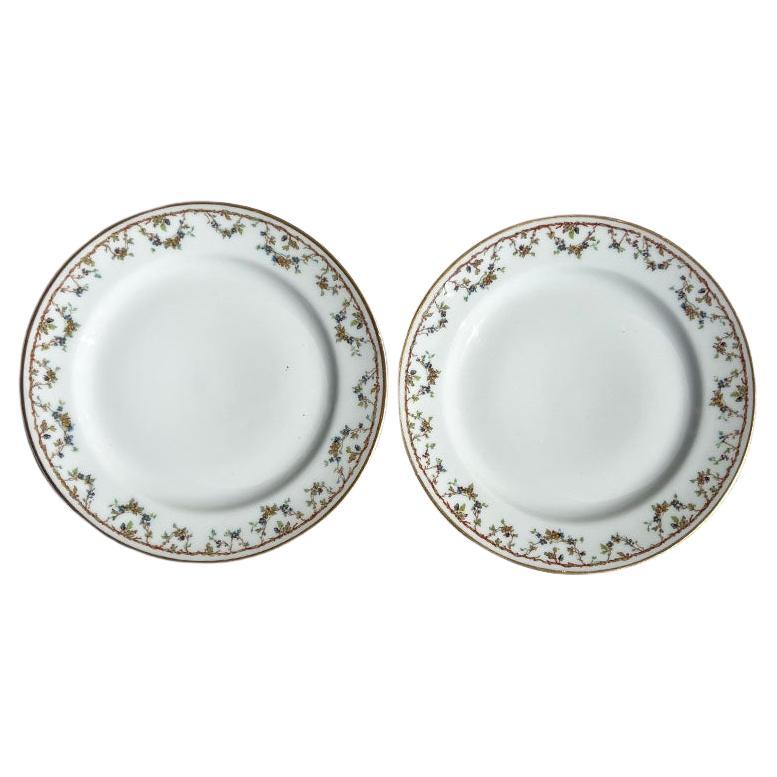 2 Antichi piatti da pane o da insalata Haviland Limoges per W.J. Pettee & Co. Oklahoma