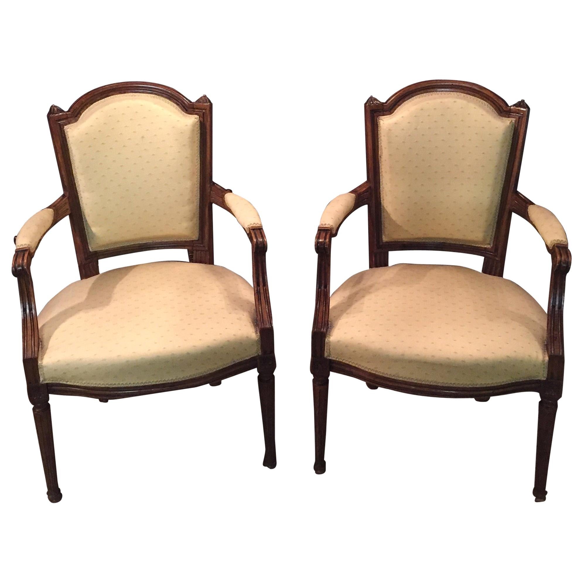2 Beautyfull Armchairs in Louis Seize Style Walnut Louis XVI