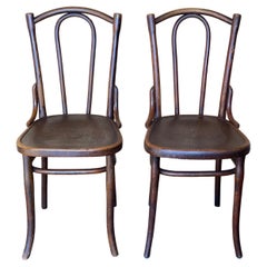 Antique 2 Bentwood Thonet Chairs from Around 1900 with Floral Stamping