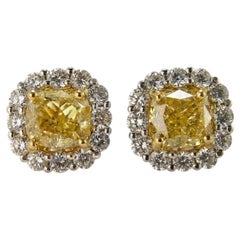 2 Carat Fancy Yellow Cushion Cut Diamond Halo Stud Earrings in 18k Gold