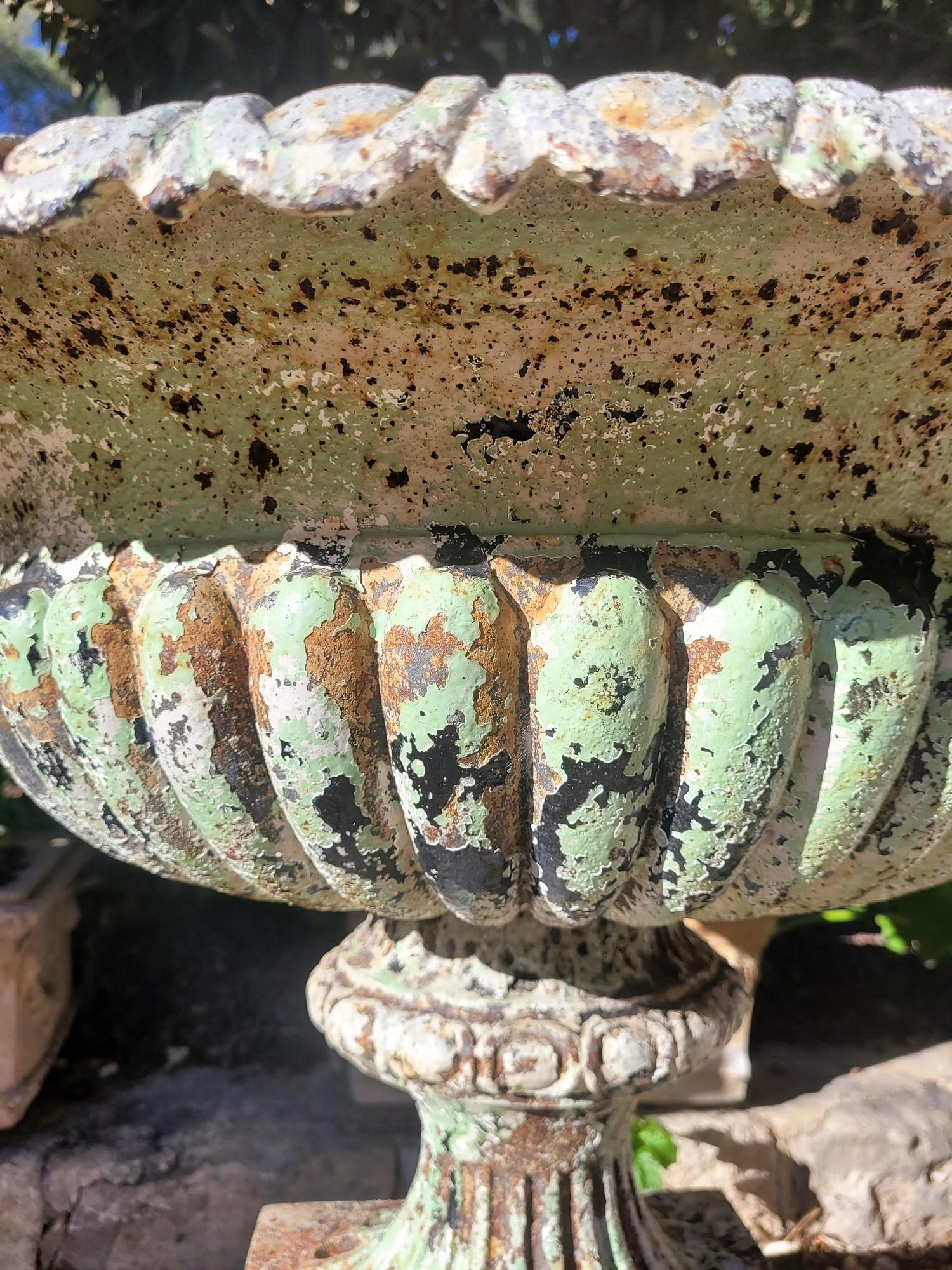 European 2 Cast Iron Garden Vases On Base, 19th Century For Sale