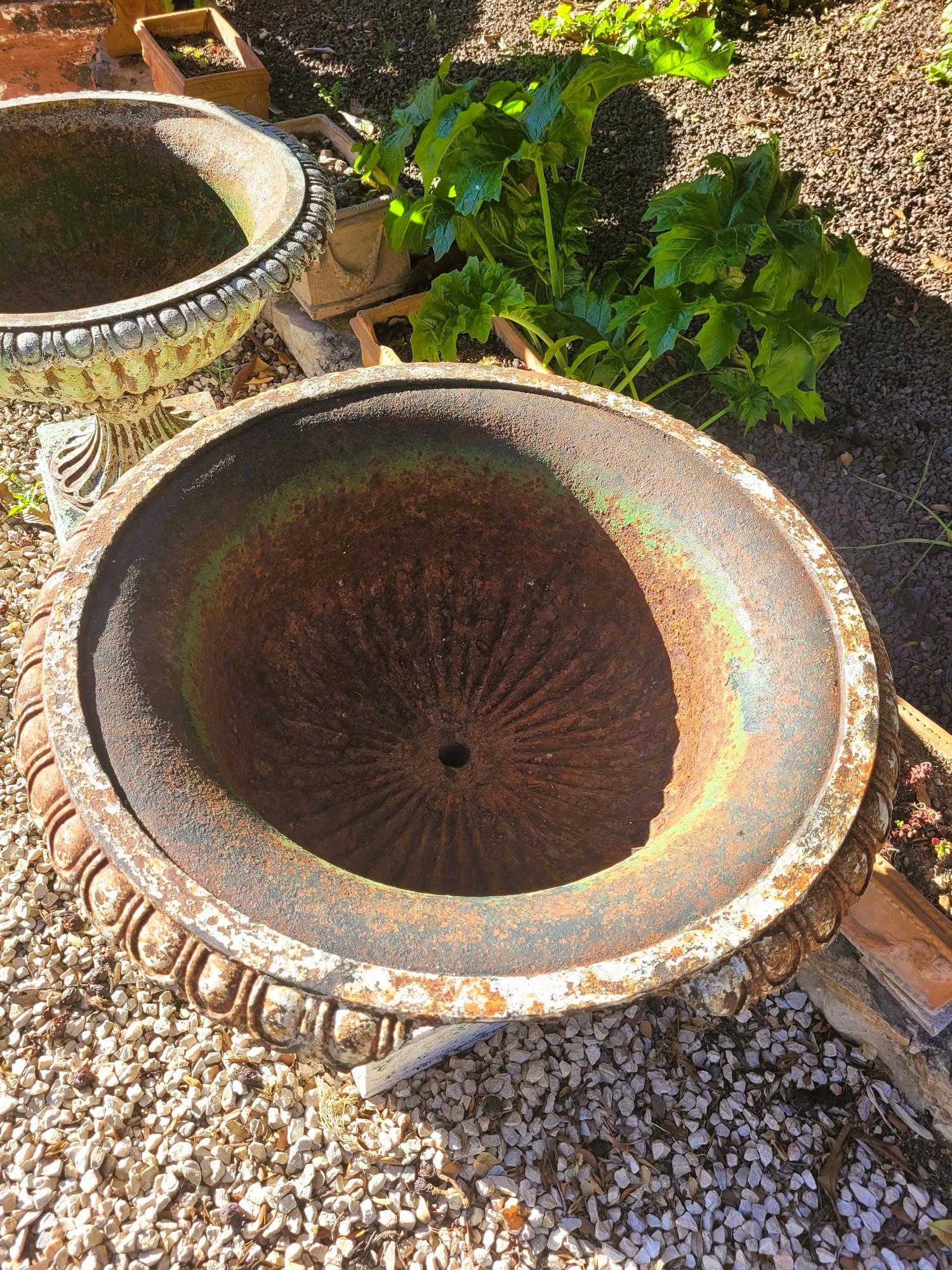2 Cast Iron Garden Vases On Base, 19th Century For Sale 2