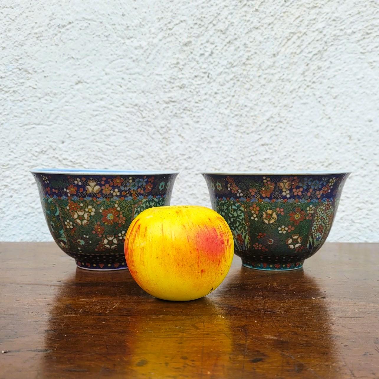 2 cuencos de cloisonné decorados con flores y hojas multicolores. 
El interior de porcelana está decorado con flores azules y rojas sobre fondo blanco.   

Desgaste, un desconchón y 1 grieta.   

Obra asiática, finales del siglo XIX, principios del