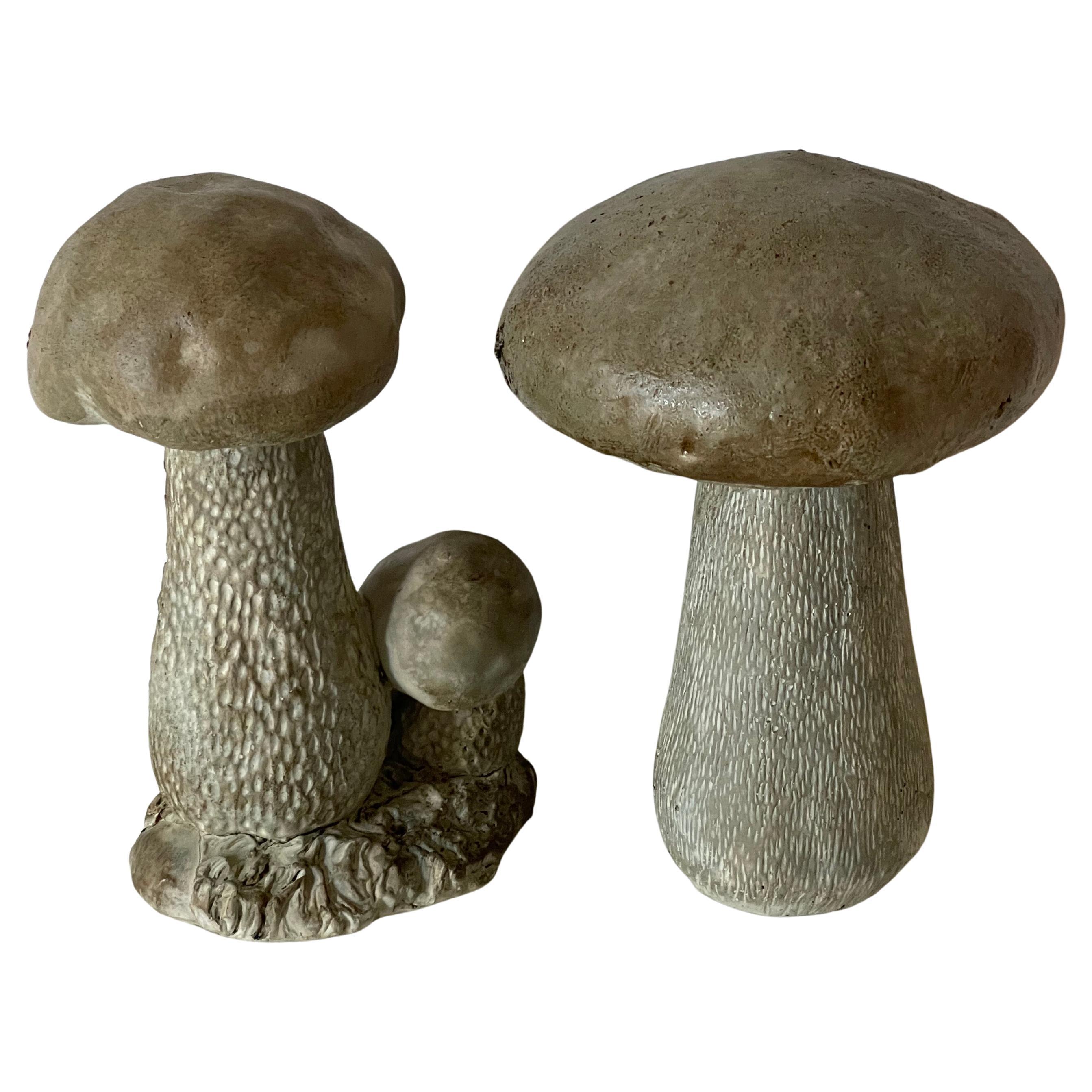 Ensemble de champignons moulés en béton de type Boletus. Décoration de jardin moderne et biologique.