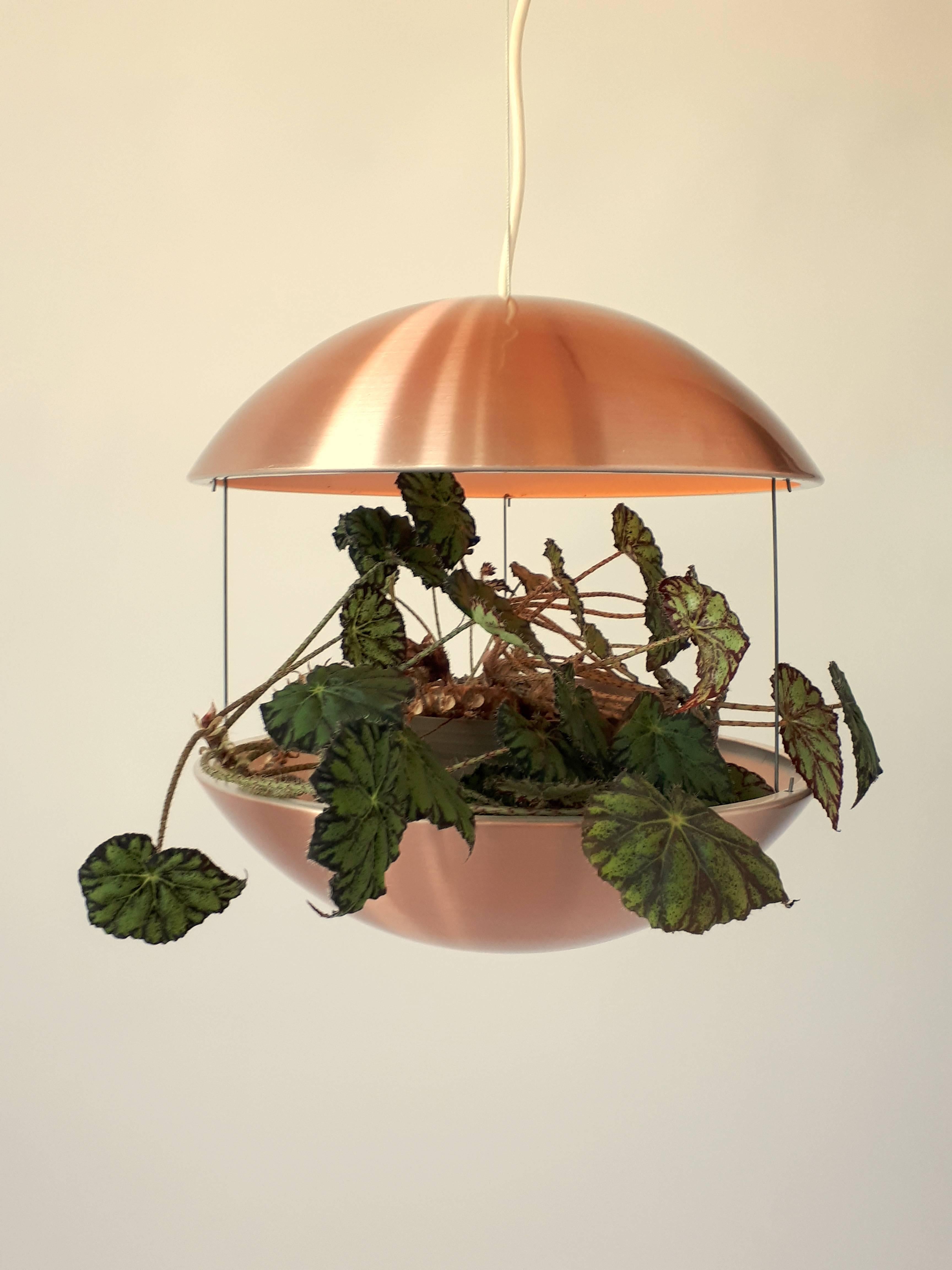 Small lighted planter consisting of two halves of copper-plated aluminium enameled white inside and hung together by three thin steel rods. 

The top part is vented and contain a E26 ceramic socket rated at 60 watts max. 

Come with 10 feet of