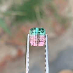 2 pierres précieuses de tourmaline bicolore naturelle (rose et vert menthe) pour bijoux, 7 mm