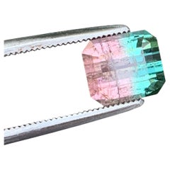 2 pierres précieuses de tourmaline bicolore naturelle (rose et vert menthe) pour bijoux, 7 mm