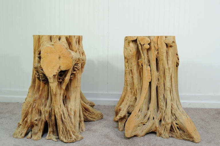 2 Cypress Tree Root Trunk Driftwood Dining Table Desk Double Pedestal Bases In Good Condition For Sale In Philadelphia, PA
