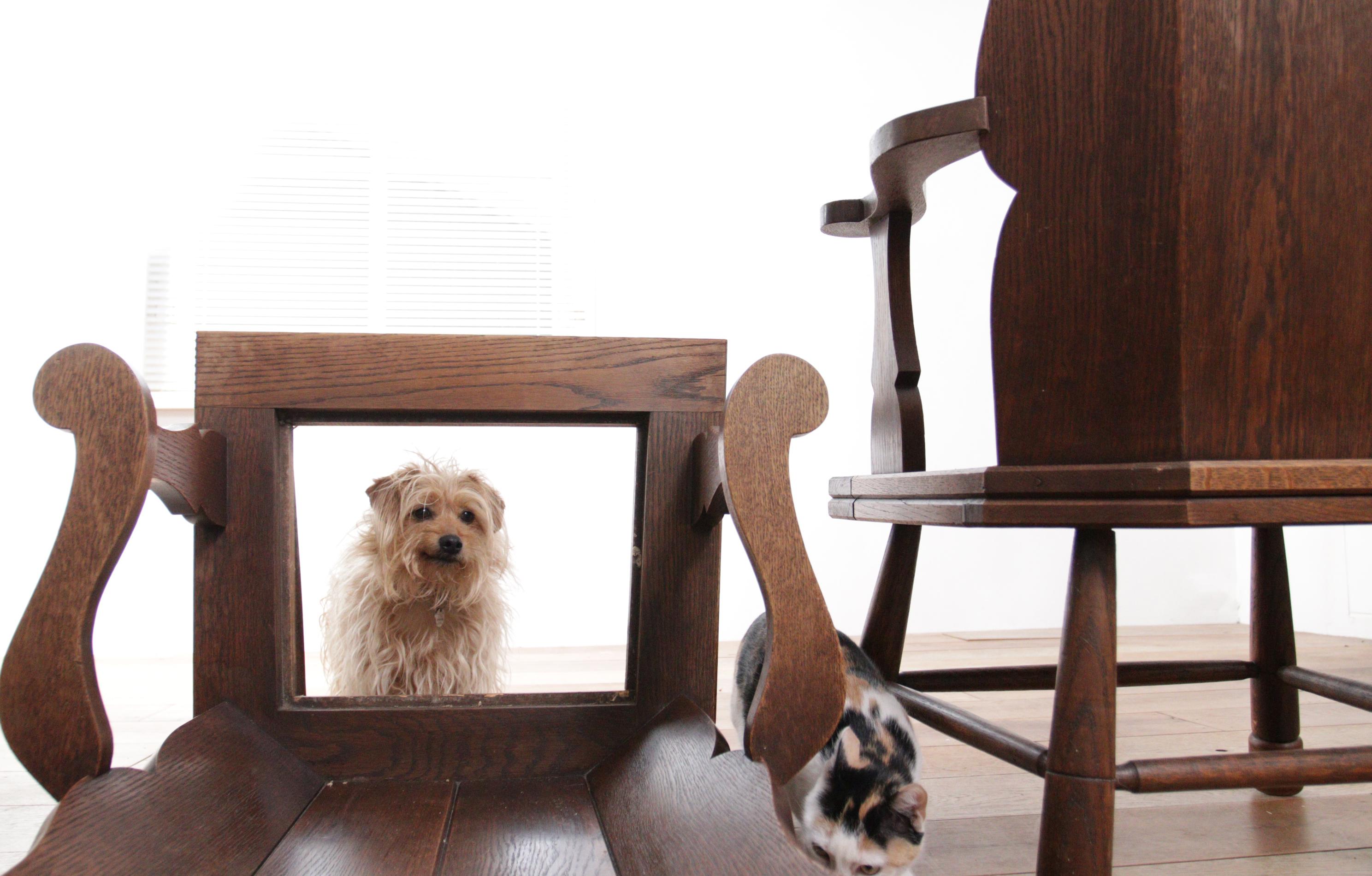 2 Dutch Story Book Brutalist Wabi Sabi Oak Rush Lounge Chairs, circa 1935 For Sale 10