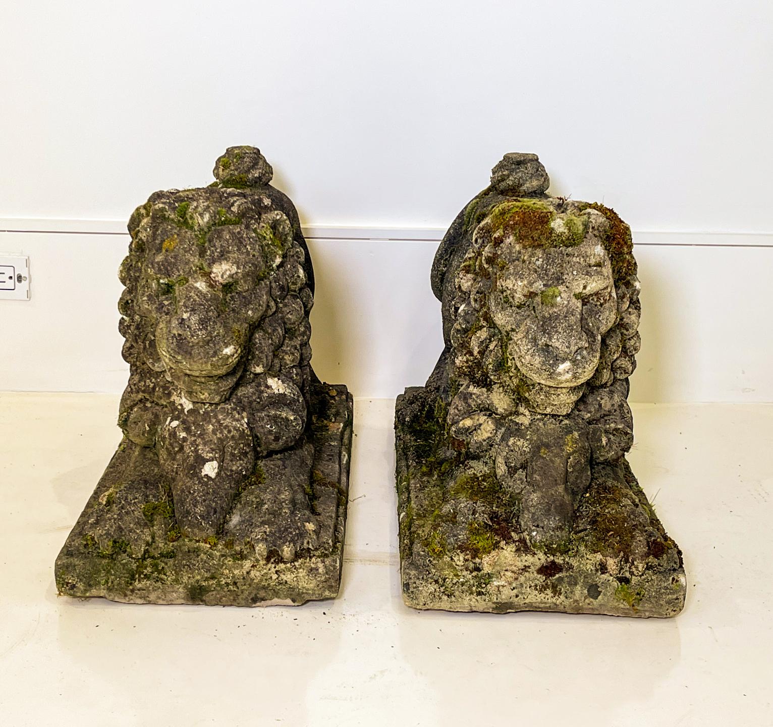Two lions poised to leap. These solid concrete garden ornaments are very well aged and patinated. They would be beautiful indoors as well as out.