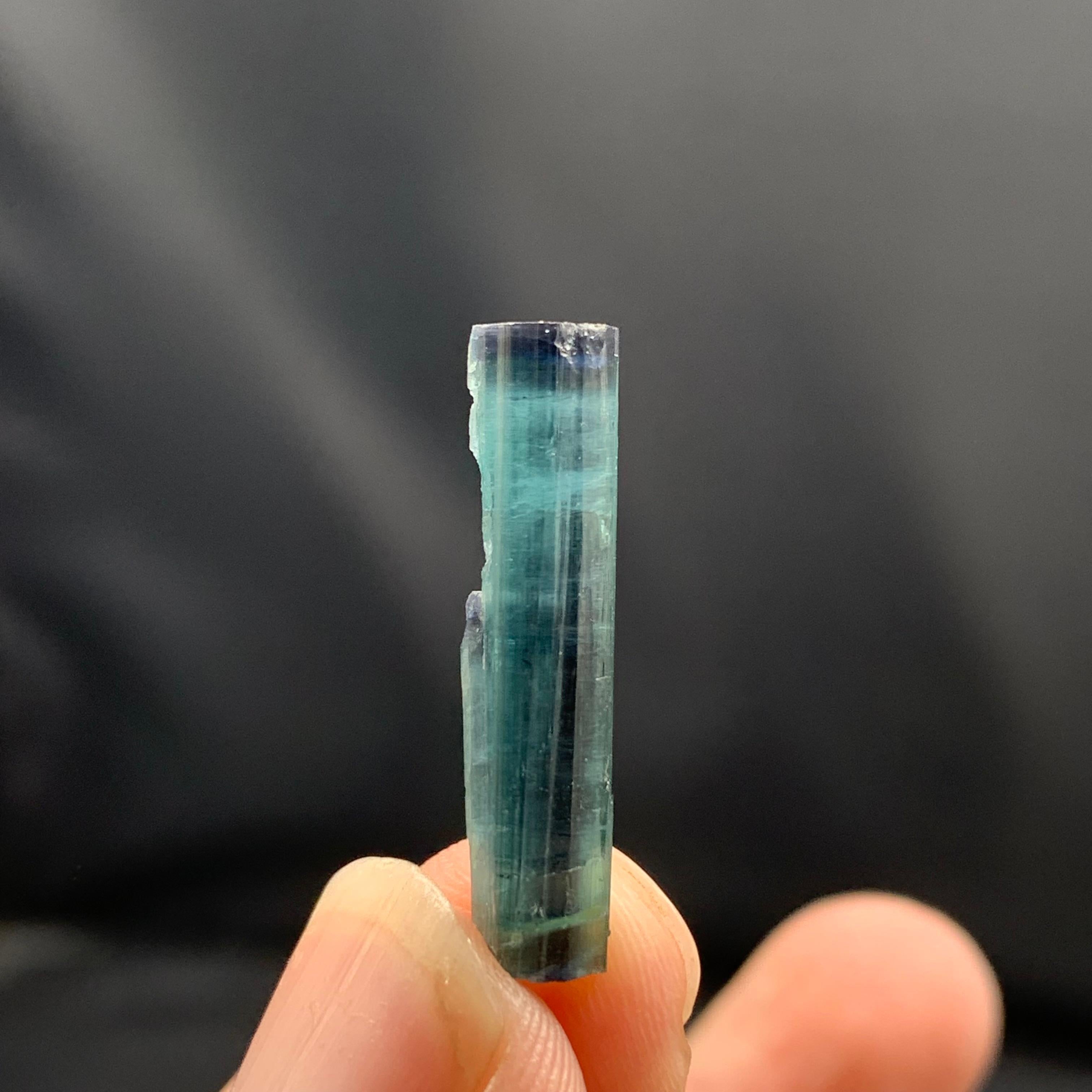 PRODUCT INFORMATION:

Specimen Name: Tourmaline crystal

Weight: 2 grams

Dimensions: H: 2.5 x W: 0.5 x D: 0.5 cm

Treatment: None

Origin: Dara I Pech, Chapa Dara, Kunnar Province, Afghanistan

DESCRIPTION:

This exquisite Indicolite Tourmaline