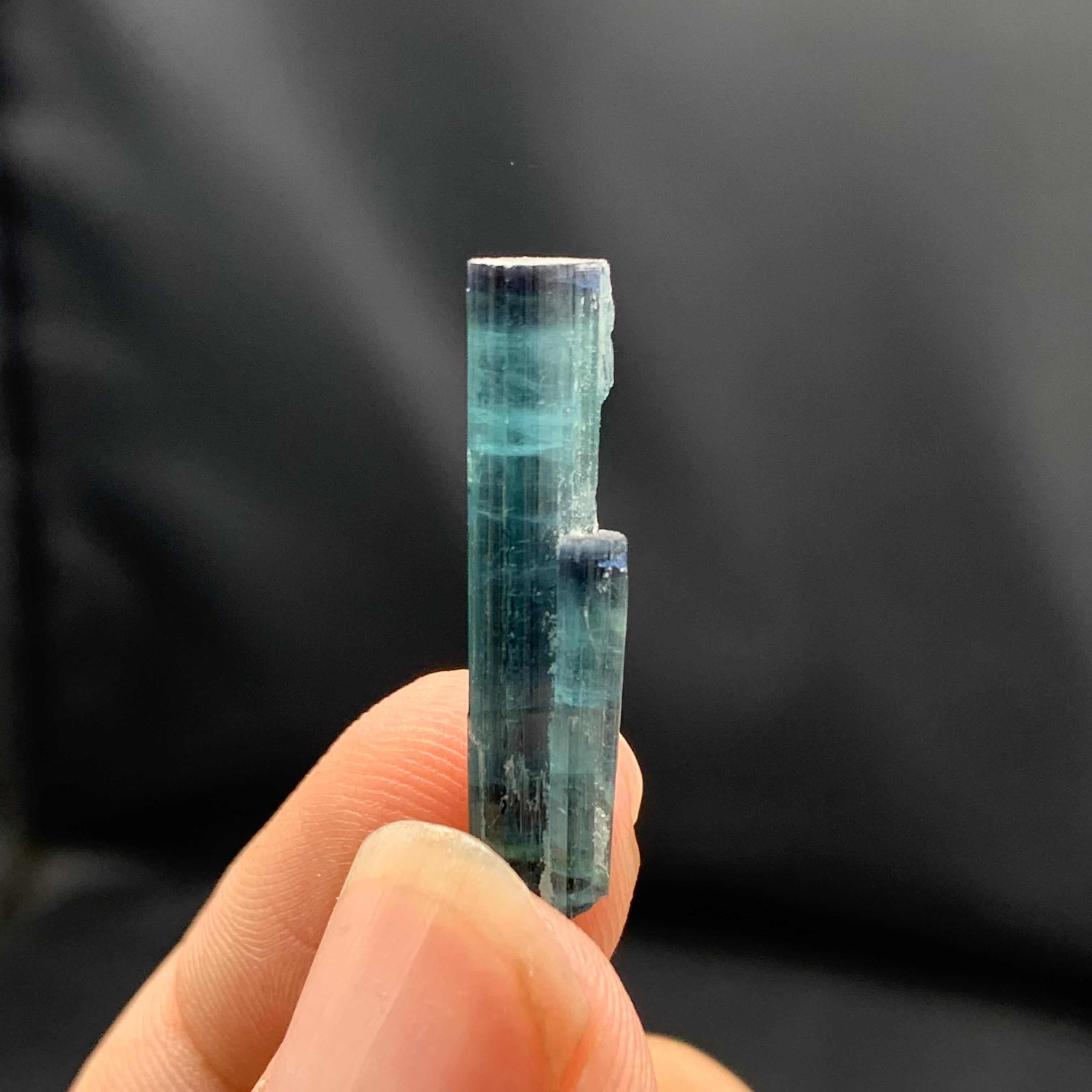Contemporary 2 Grams Terminated Single Indicolite Tourmaline Crystals From Afghanistan For Sale