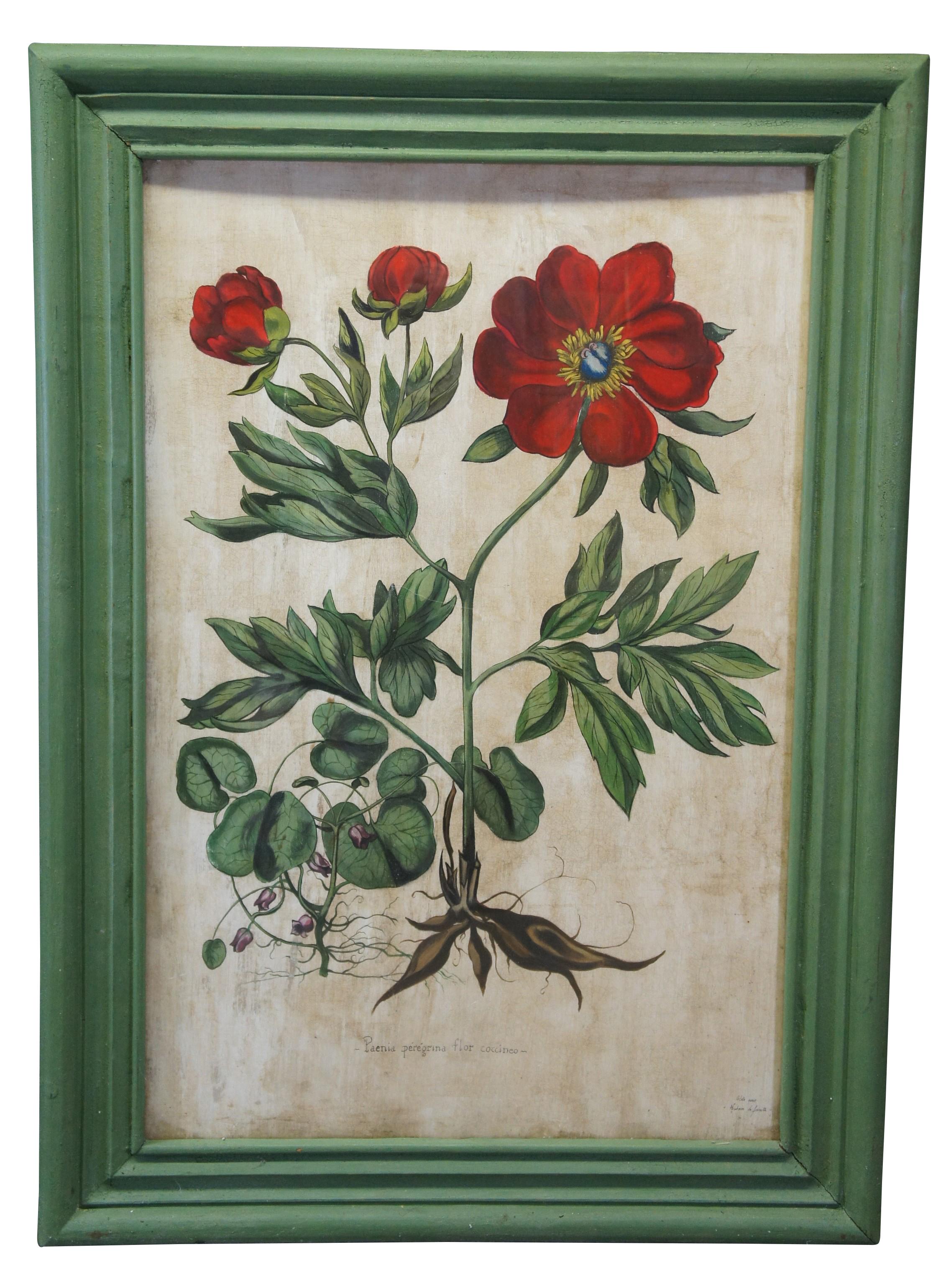 A pair of impressive vibrant hand painted botanical still life florals, featuring Paenia peregrina flor coccineo and Corona imperialis polyanthos.  Painted on a thin board, framed behind glass in green crackle painted frame. Purchased from an