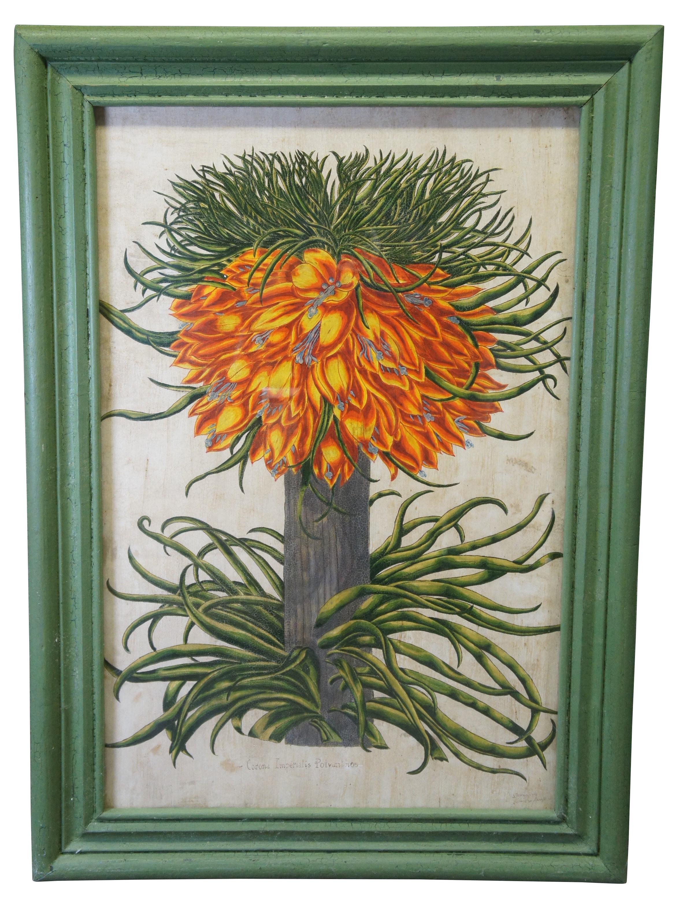 2 Hand Painted Old World Floral Botanical Paintings After Basilius Besler 57