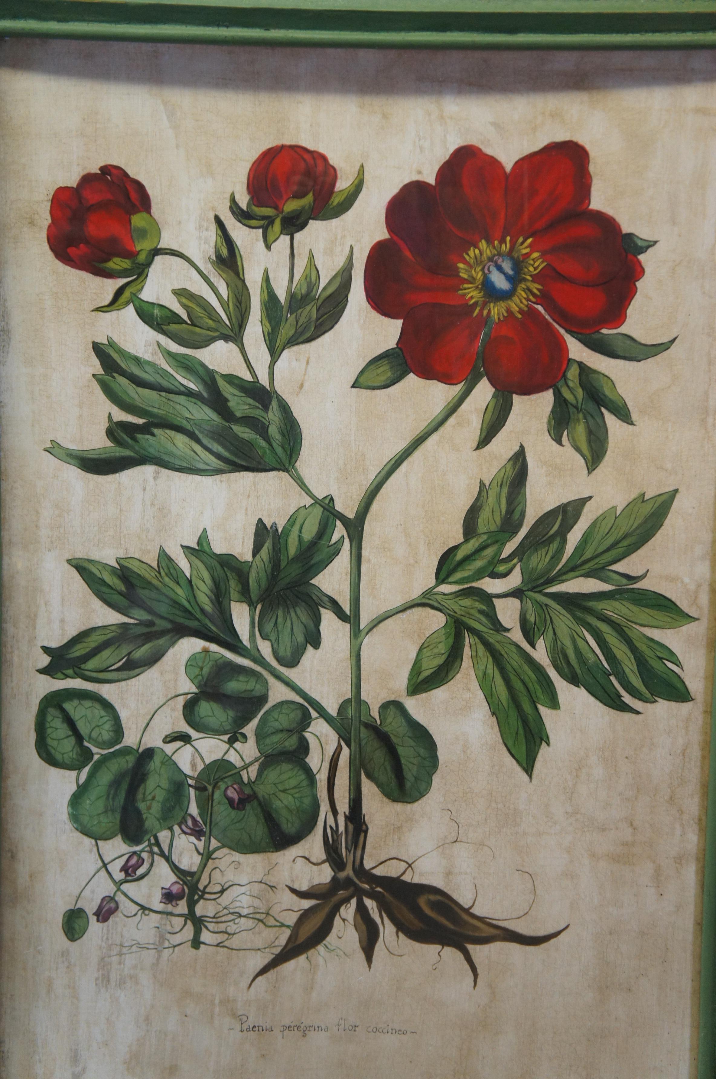 Hardwood 2 Hand Painted Old World Floral Botanical Paintings After Basilius Besler 57
