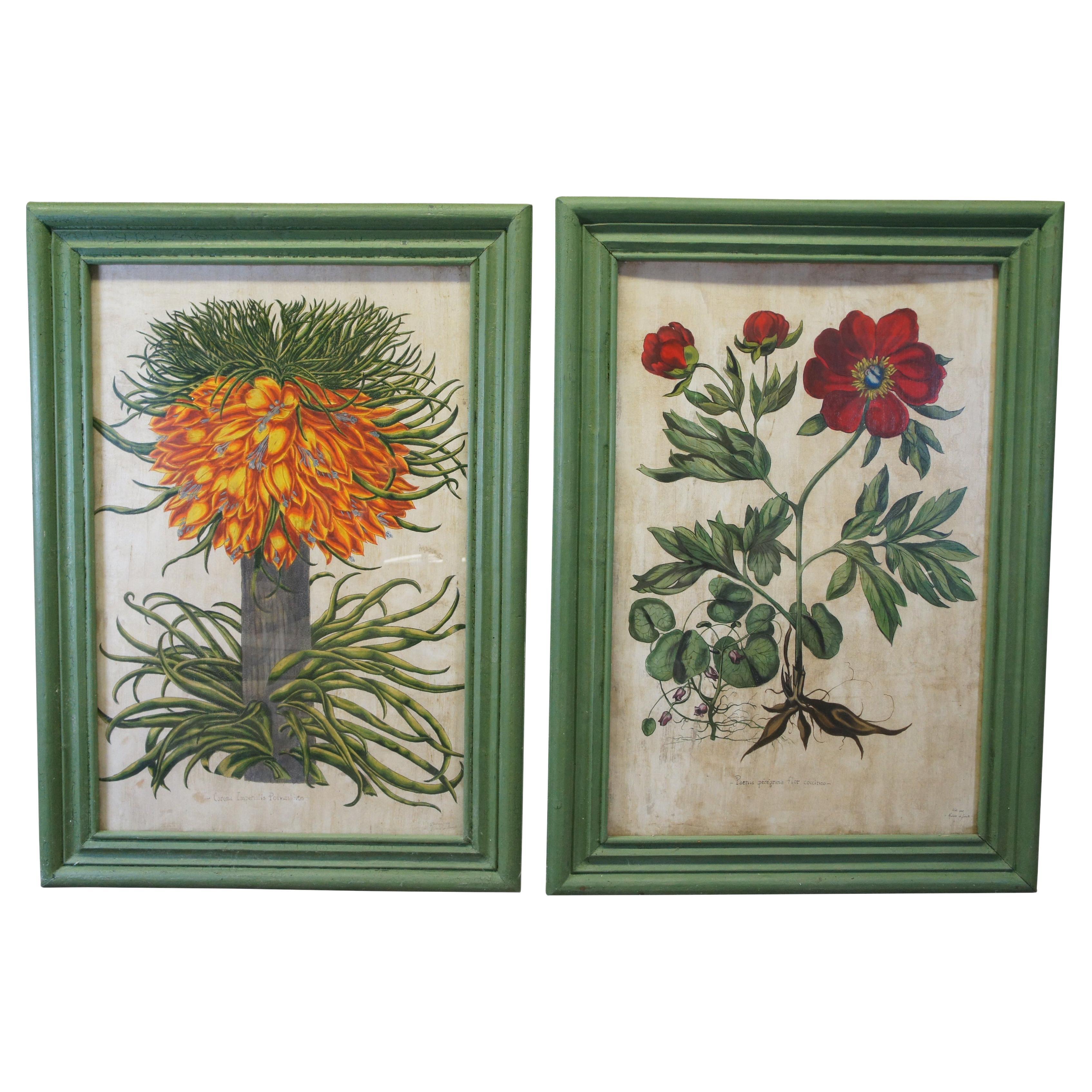 2 Hand Painted Old World Floral Botanical Paintings After Basilius Besler 57" For Sale