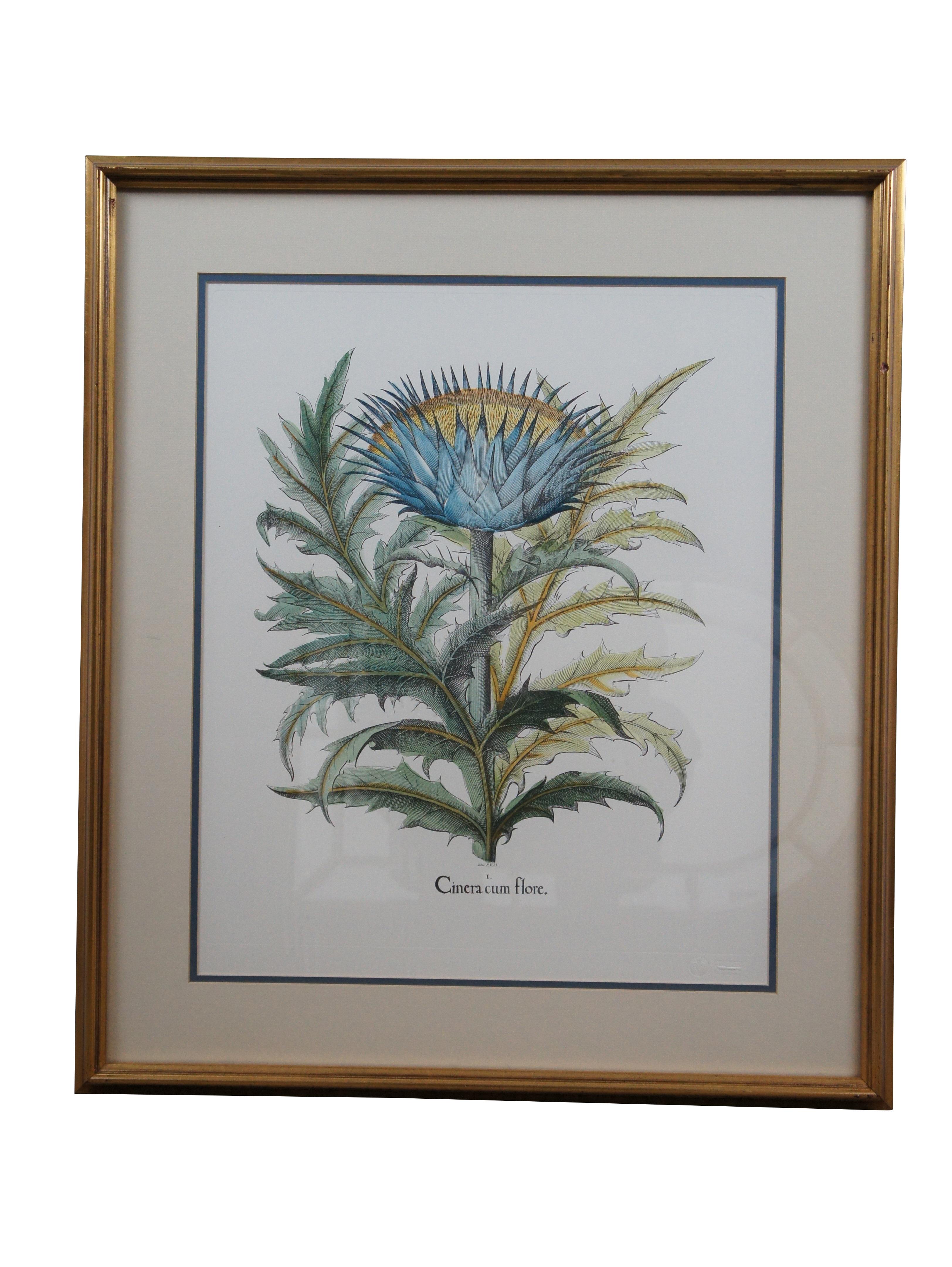 2 Italian Fiorenza Floral Botanical Stramonia Cinera cum Flore Colored Etchings In Good Condition For Sale In Dayton, OH