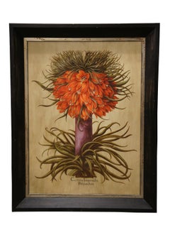 2 Large Botanical Prints Fruit Stem Indian Fig & Crown Imperial Fritillary 46"