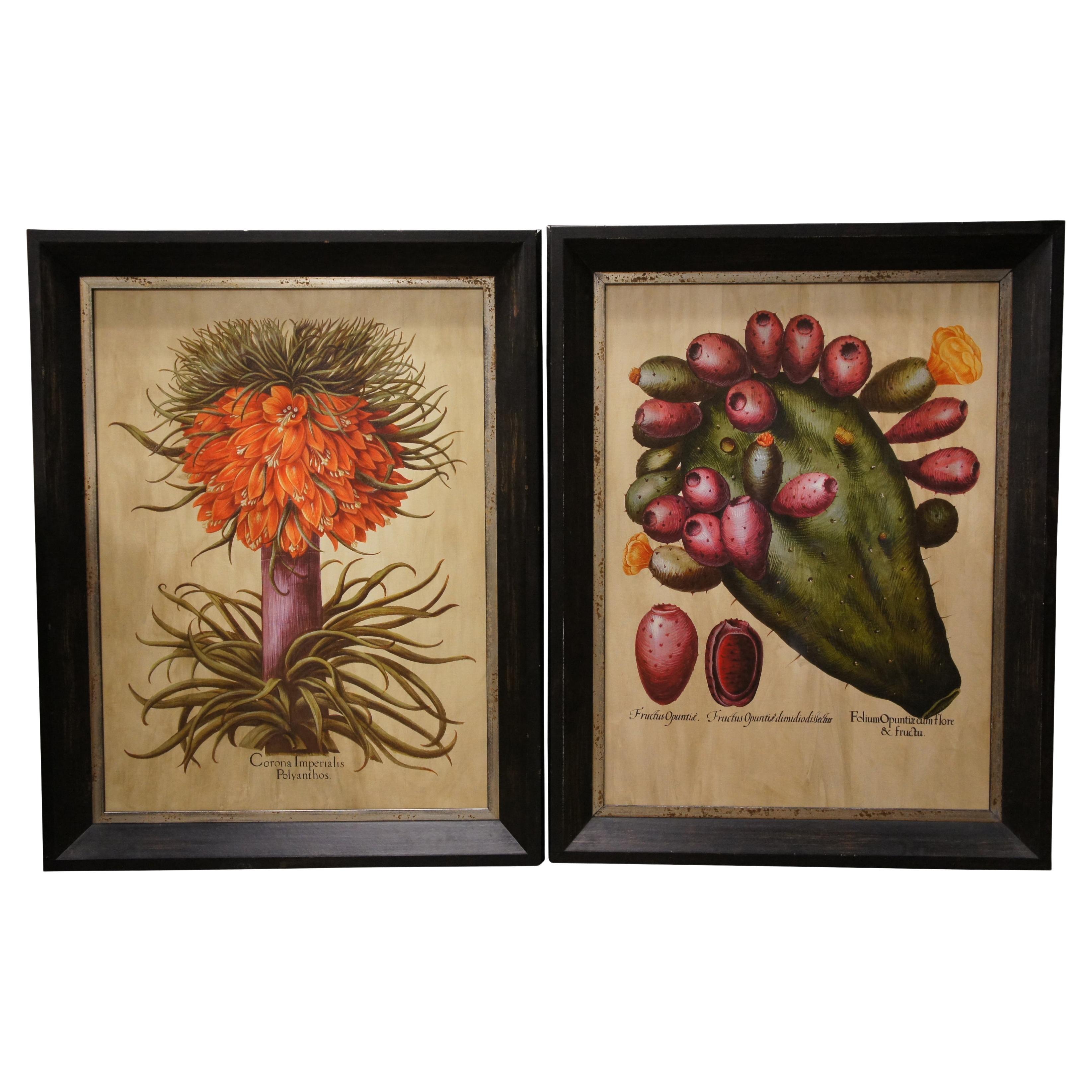 2 Large Botanical Prints Fruit Stem Indian Fig & Crown Imperial Fritillary 46"