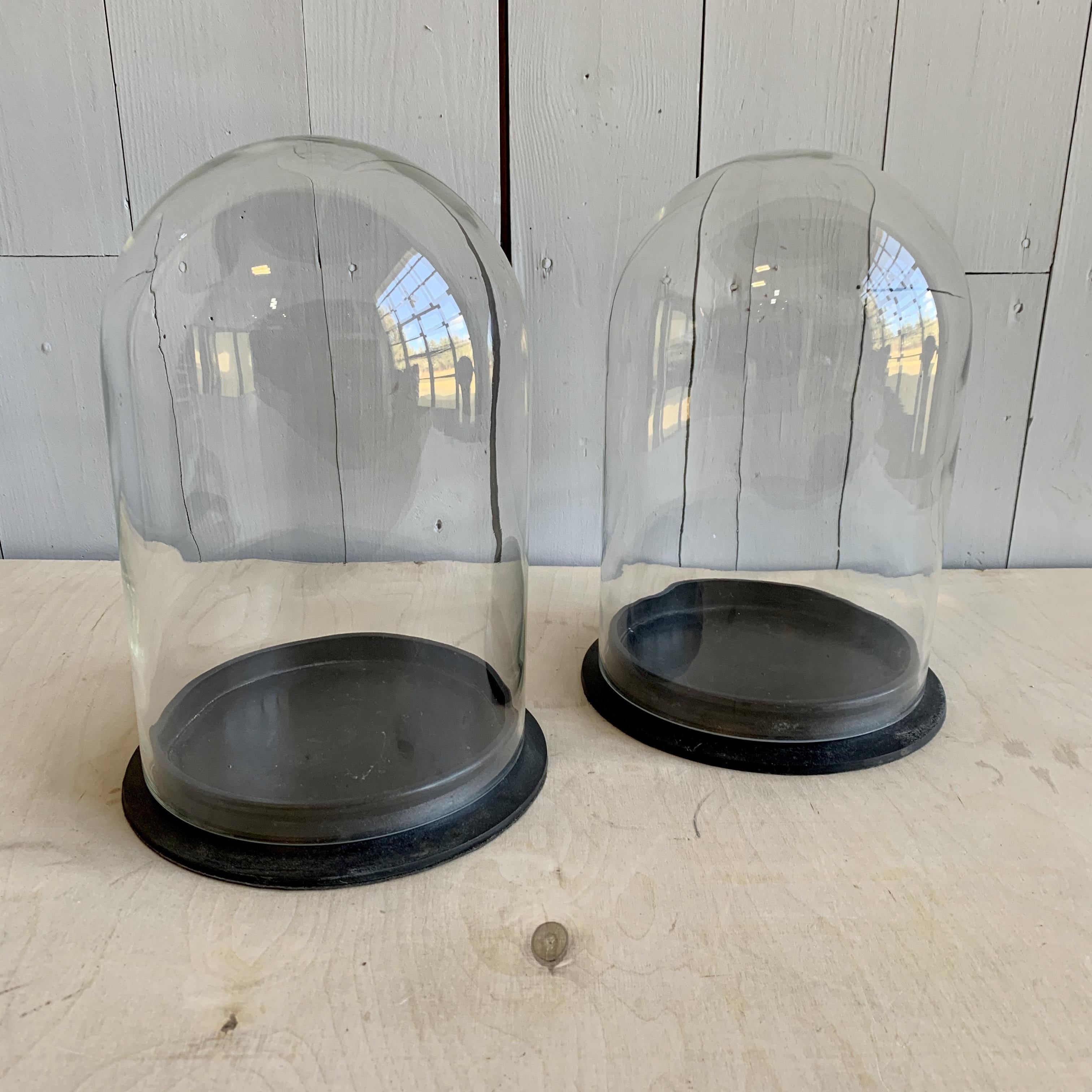 20th Century 2 Large Glass Domes