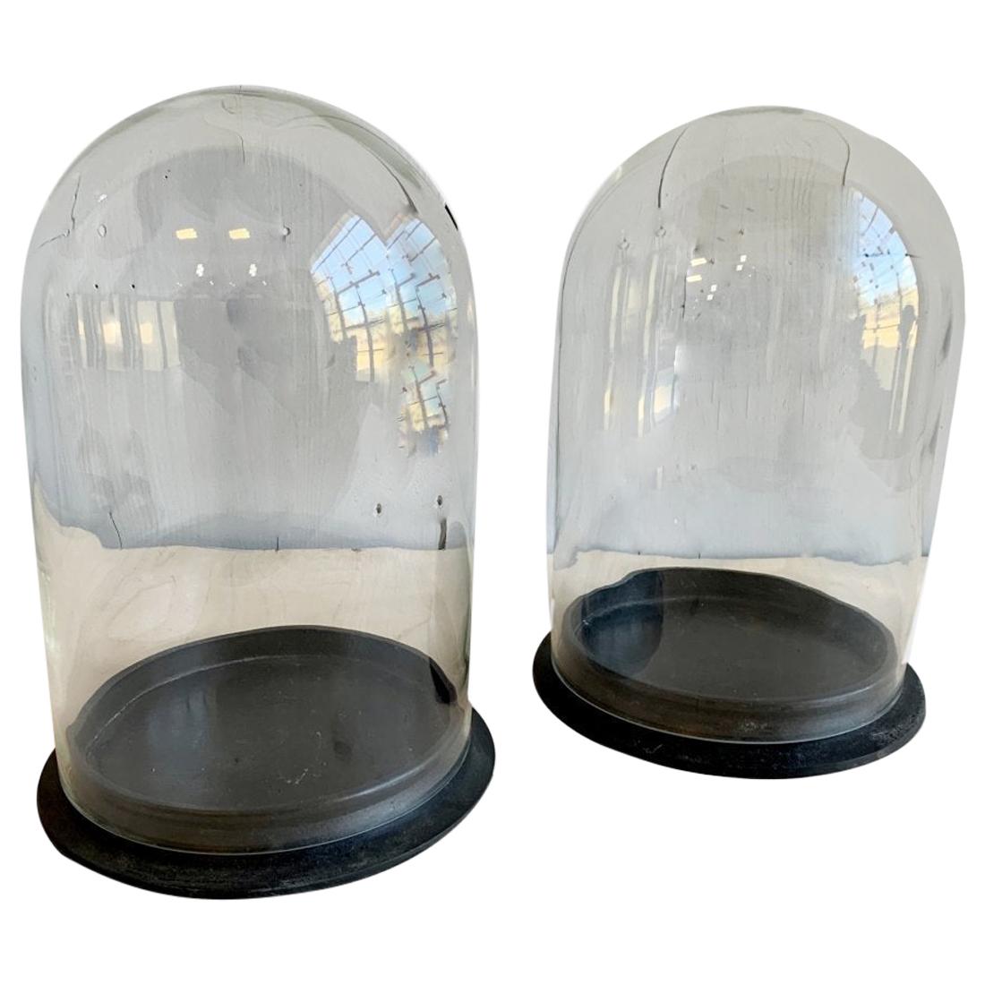 2 Large Glass Domes