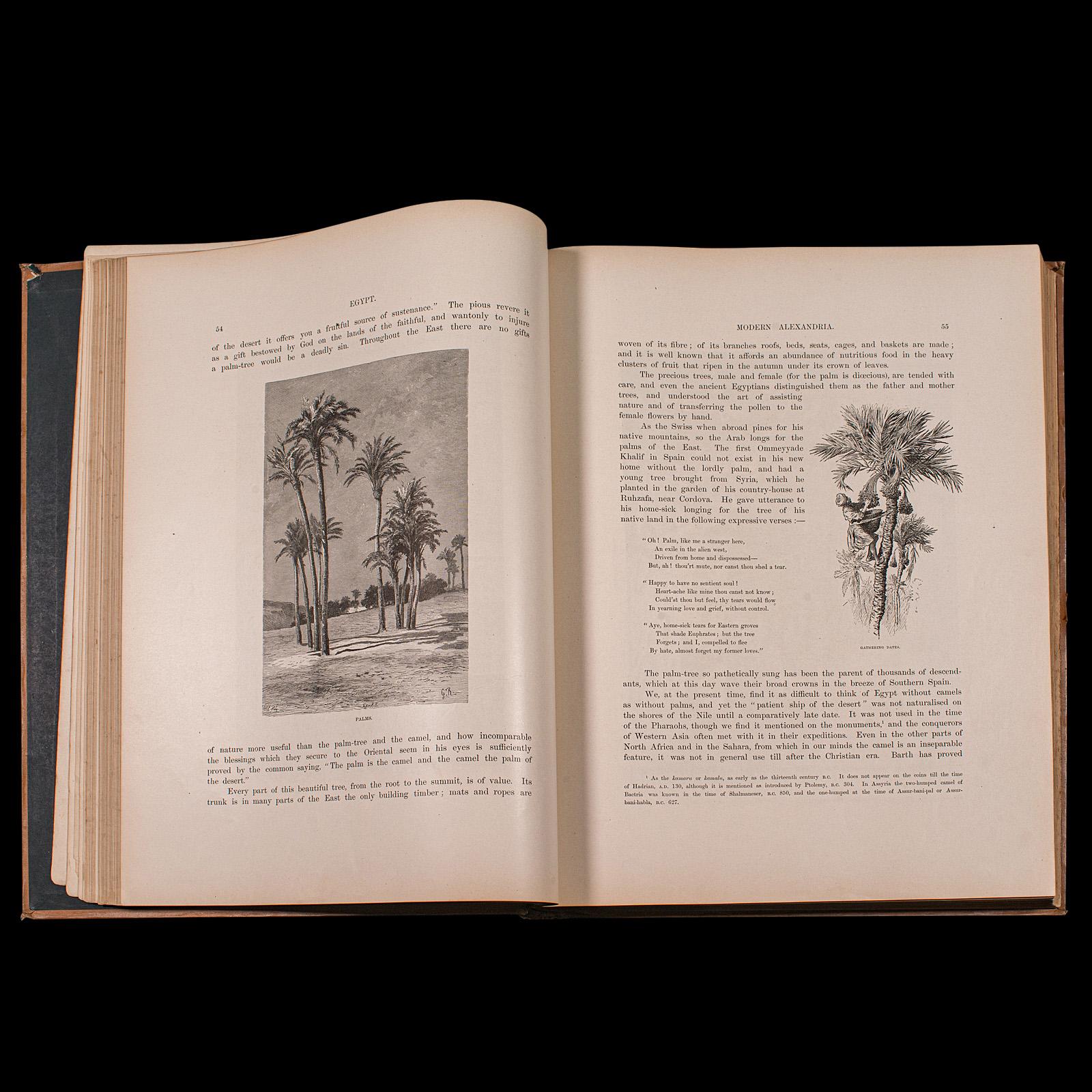19th Century 2 Large Vols Antique Reference Book, Egypt - Historical and Picturesque, English For Sale