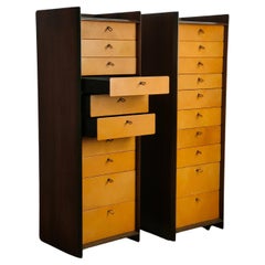 2 Leather and Walnut Artona Chests of Drawers by Afra & Tobia Scarpa for Maxalto
