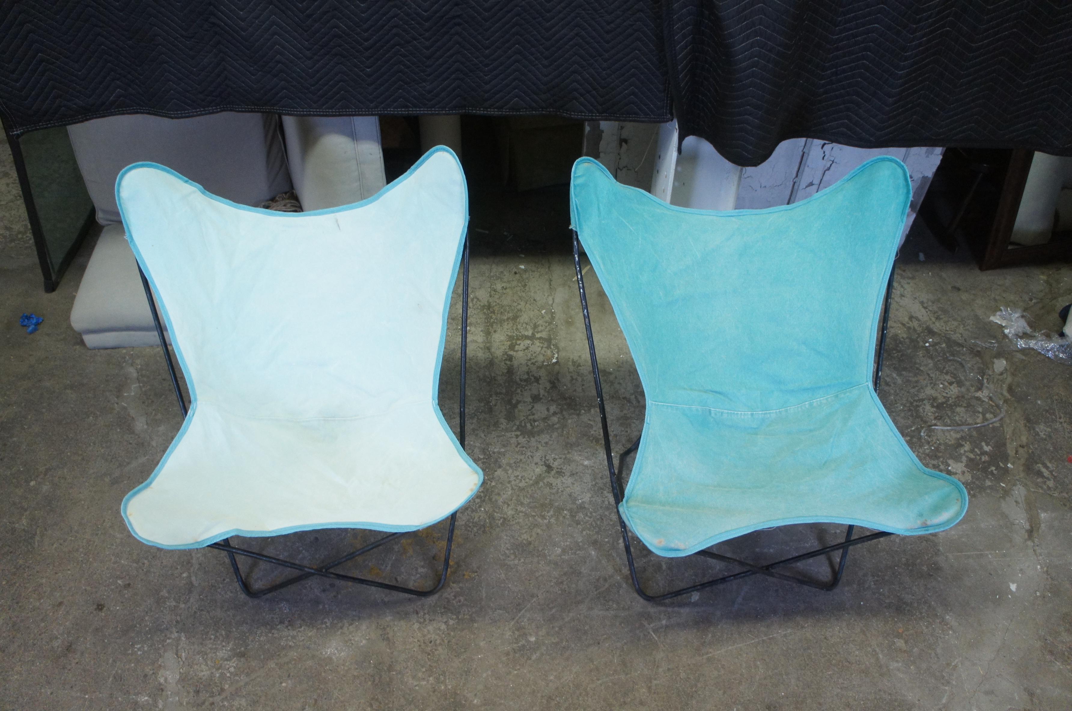 blue butterfly chair