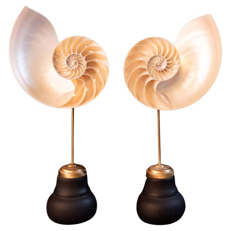 Antique and Vintage Nautical Objects - 588 For Sale at 1stDibs ...