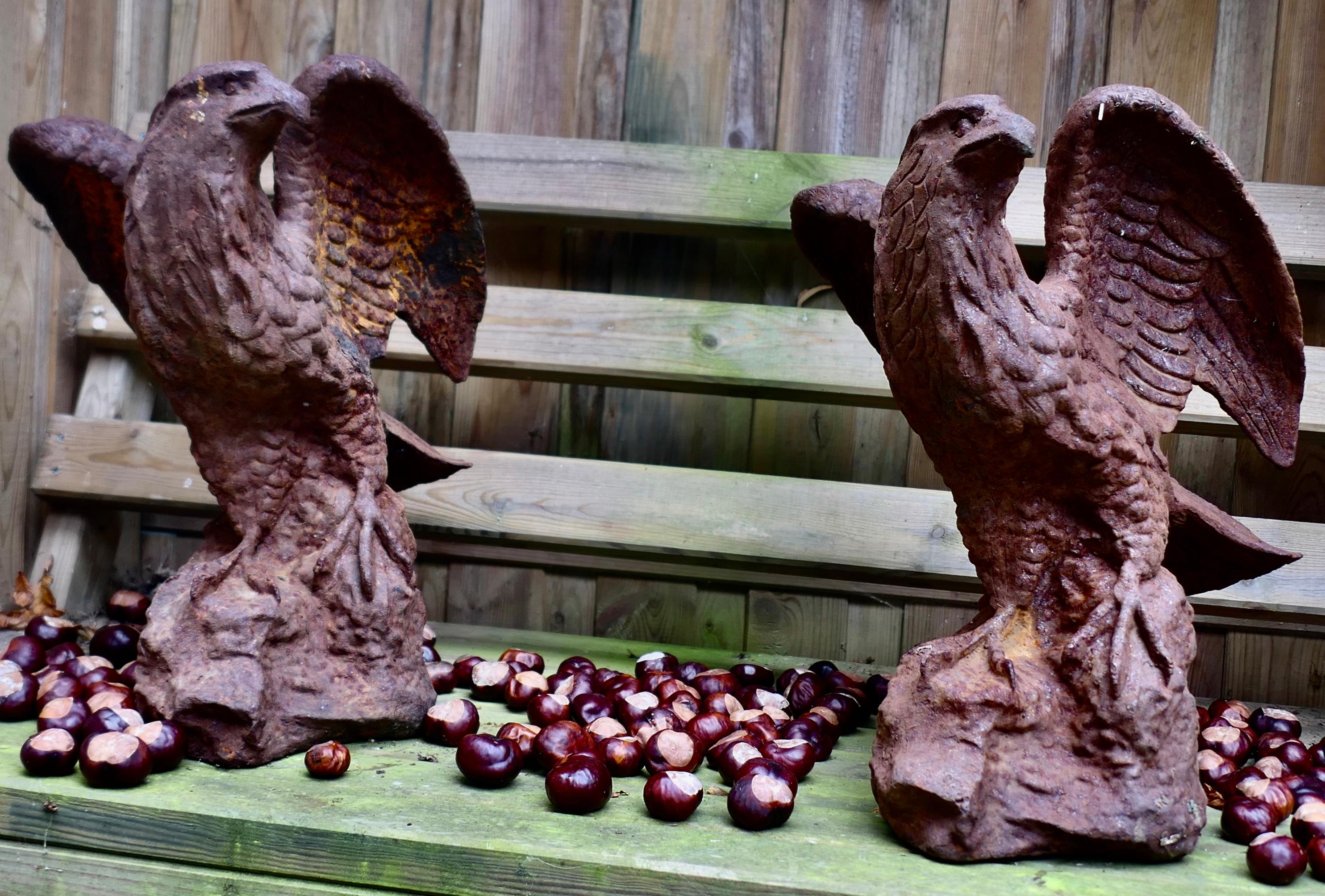 2 Old Weathered Cast Iron Eagle Statues.

These lovely Eagles have beautiful detail to the feathering and the facial expressions, they are on the rusty side but sound and in good all round condition

The Eagles are 18” tall, 12” across 
AH22
