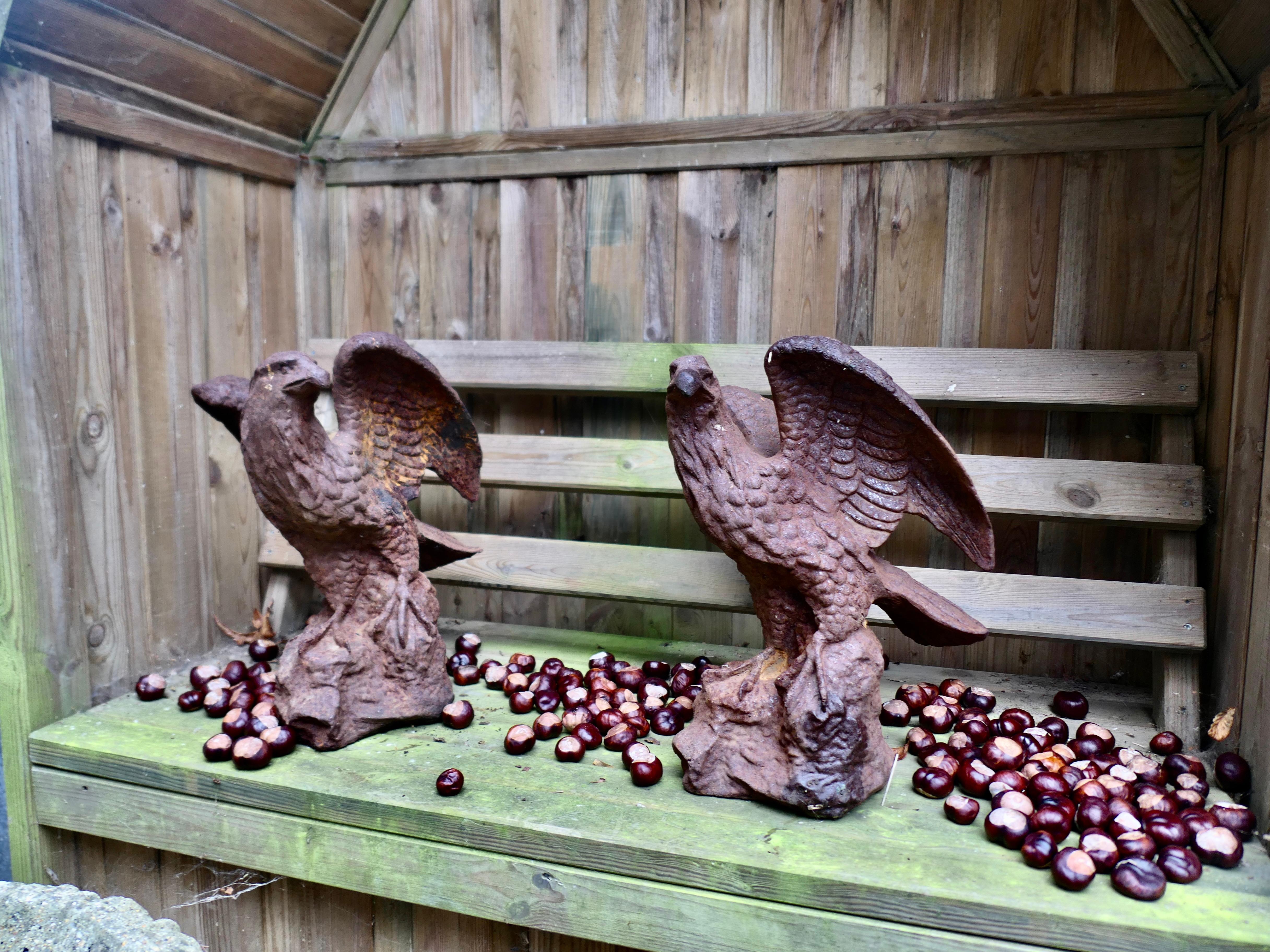 Folk Art 2 Old Weathered Cast Iron Eagle Statues. For Sale