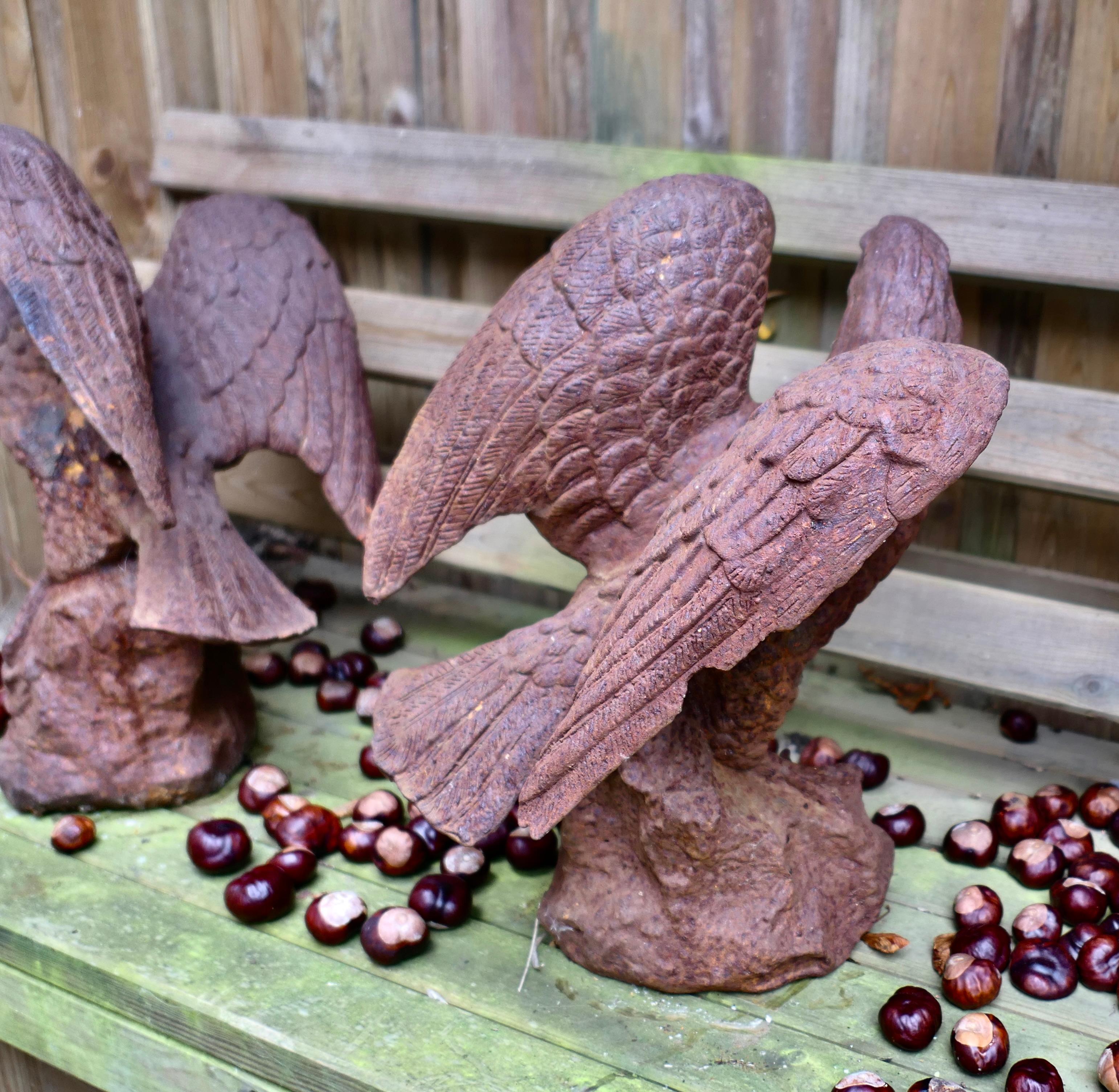 2 Old Weathered Cast Iron Eagle Statues. For Sale 1