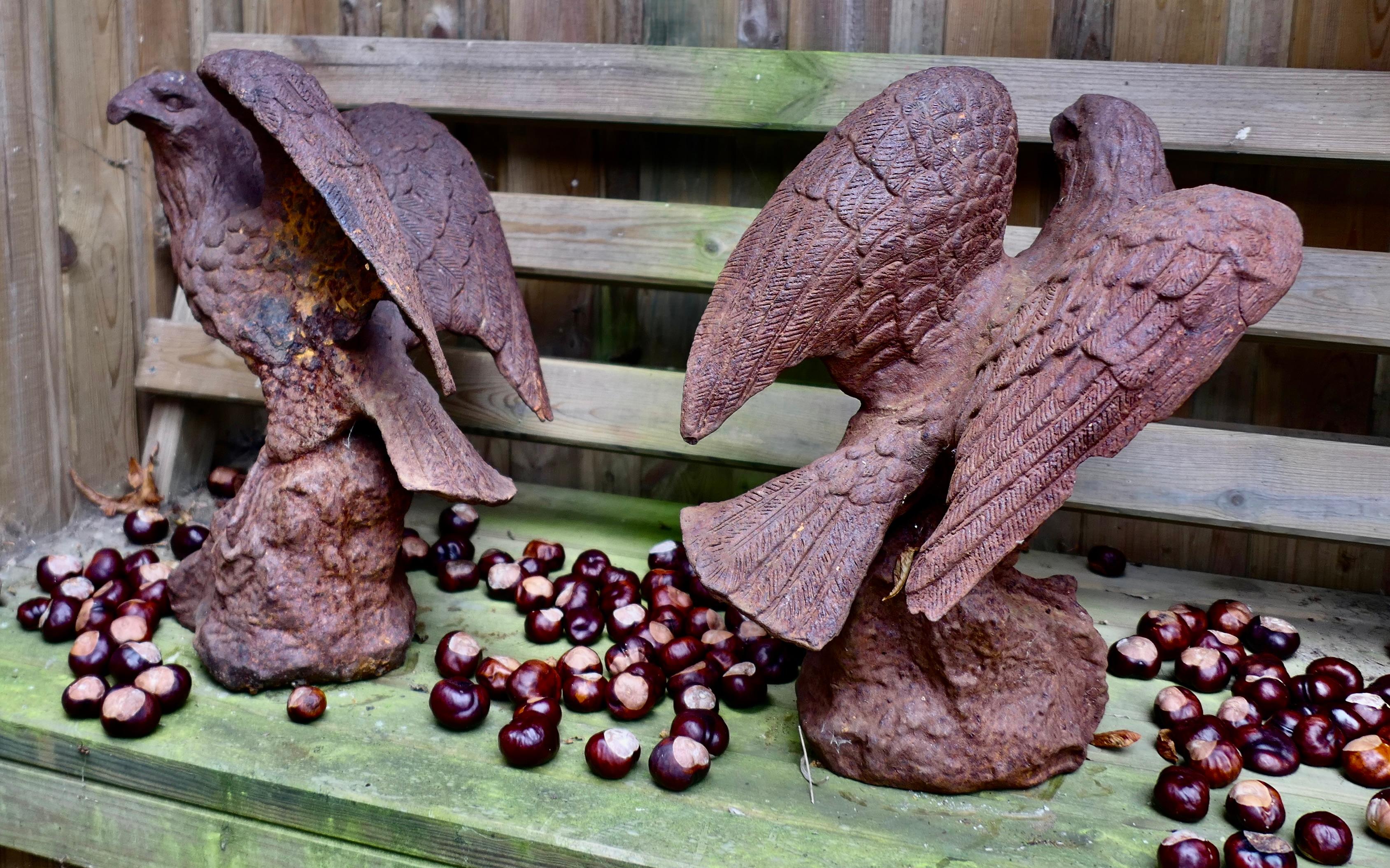 2 Old Weathered Cast Iron Eagle Statues. For Sale 2