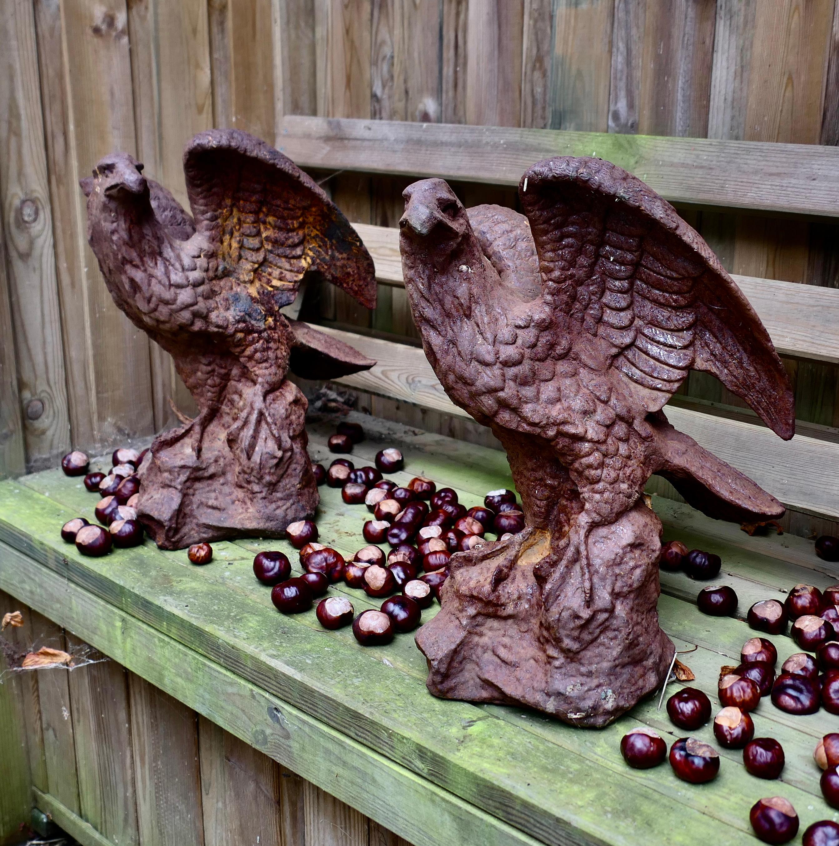 2 Old Weathered Cast Iron Eagle Statues. For Sale 3