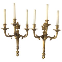 2 Pares de Grandes  Lámparas clásicas de bronce dorado francés estilo Caldwell de la década de 1870