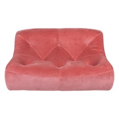 2-seater Kali sofa by Michel Ducaroy for Ligne Roset, 1980s