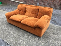 2 Sofas von Ammannati und Vitelli, italienisches Design, um 1970