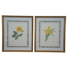2 Vintage Botanical Book Plate Prints by P.J. Redoute Daffodils Dahlia Framed