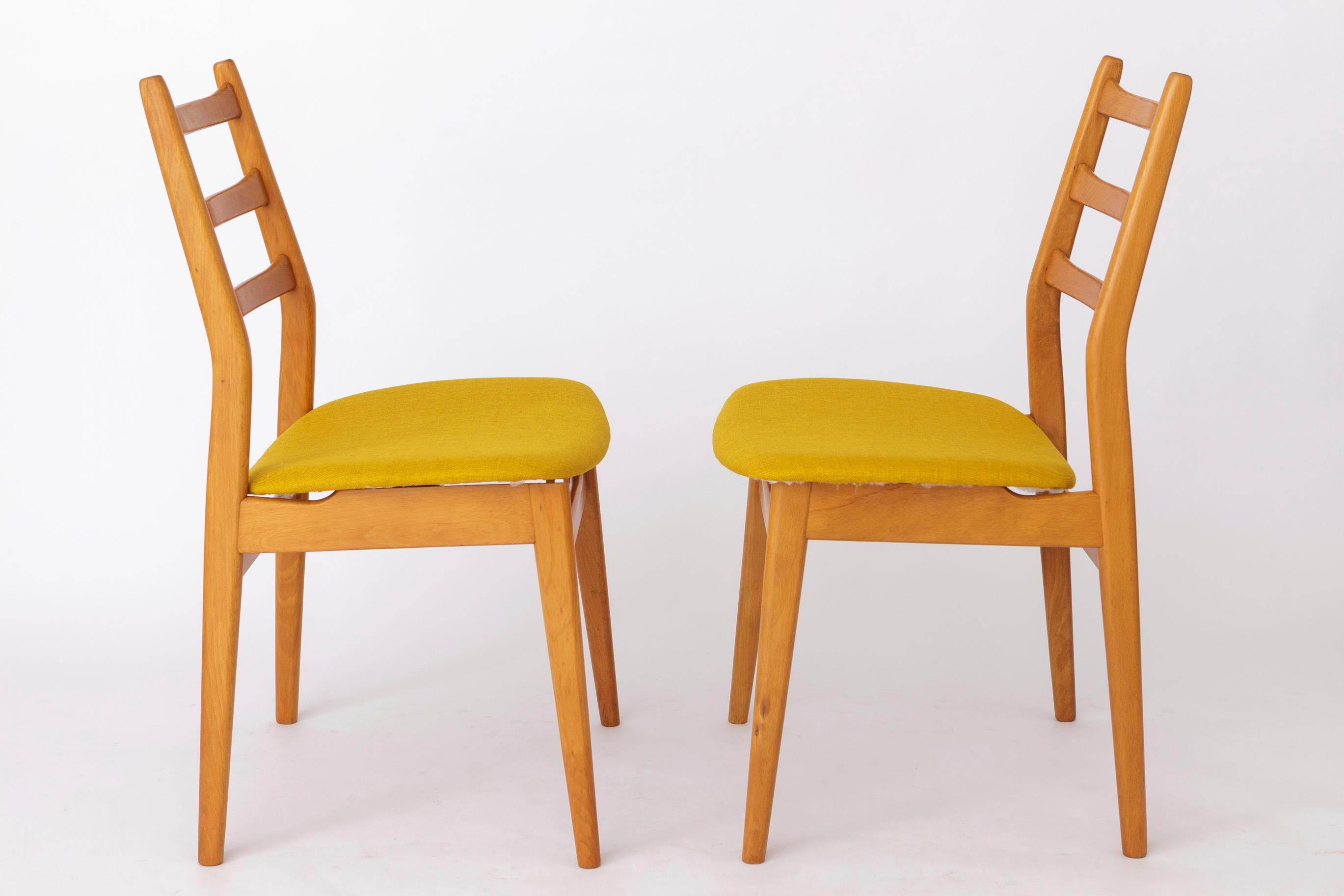 Polished 2 Vintage Chairs Casala, 1970s, Germany For Sale