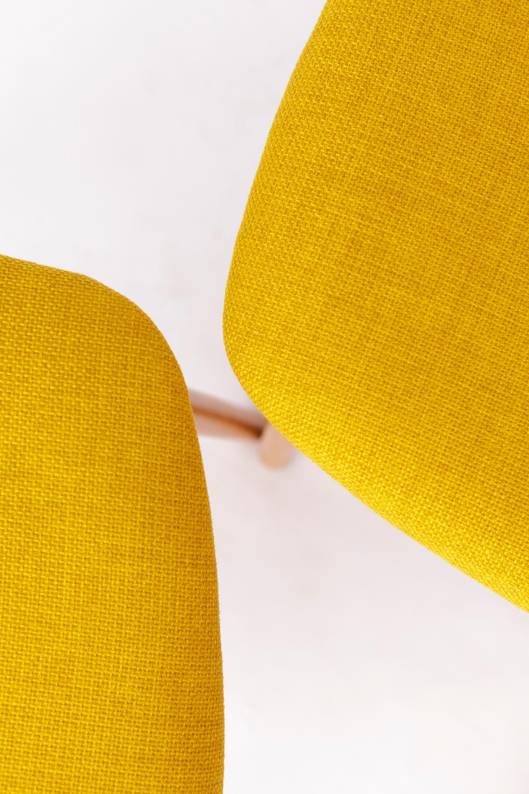 Late 20th Century 2 Vintage Chairs Casala, 1970s, Germany For Sale